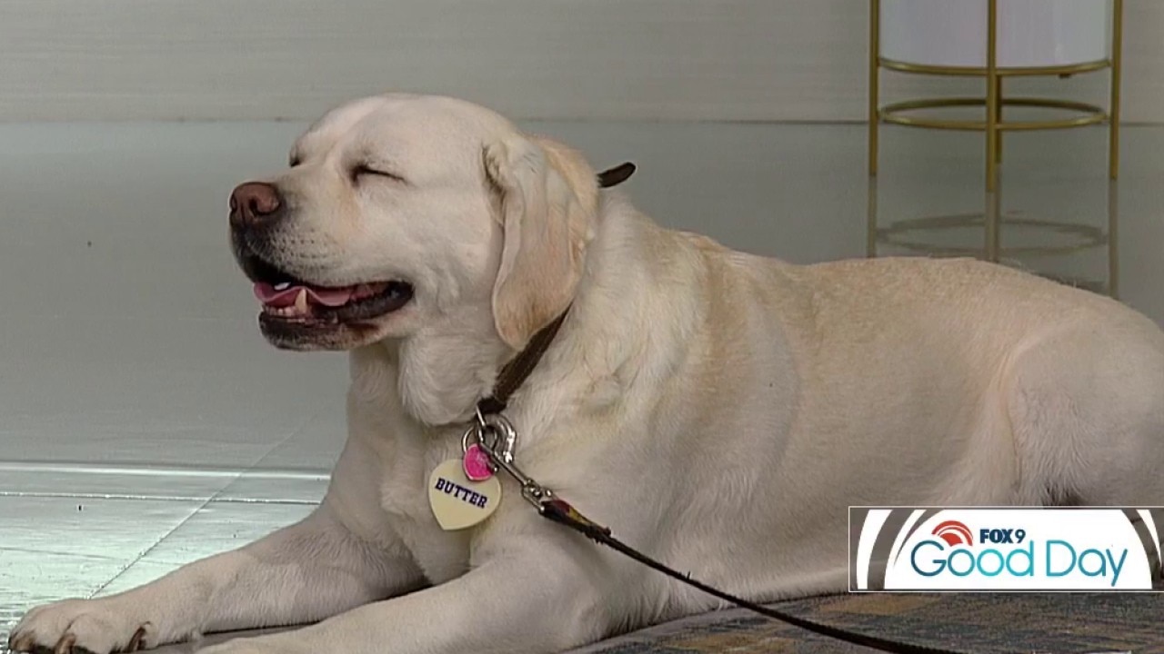FOX 9 Good Day: Oct. 9, 2026