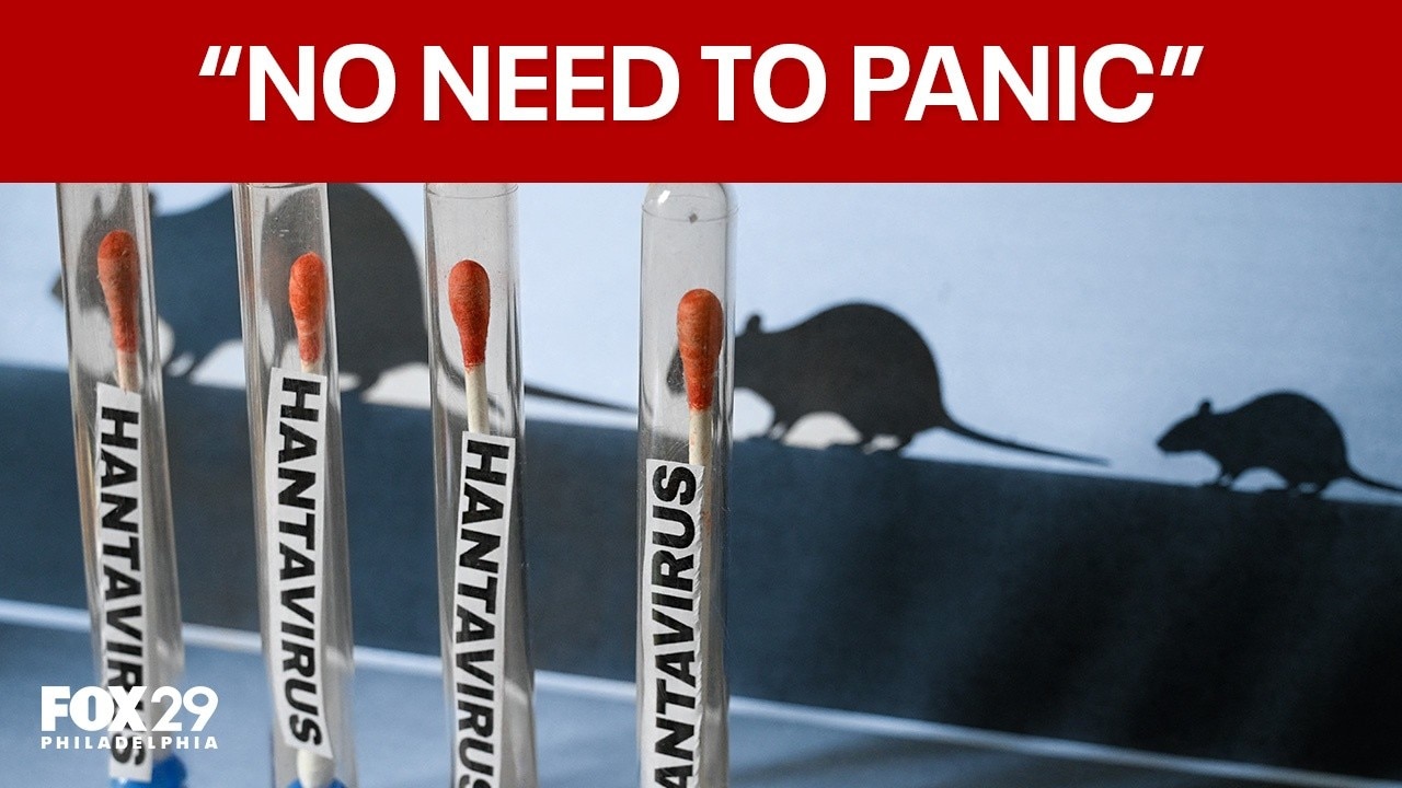 Hantavirus latest: Everything you need to know 