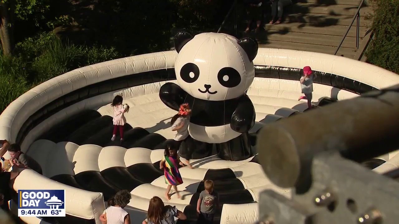Panda Fest returns to Seattle Center in late August