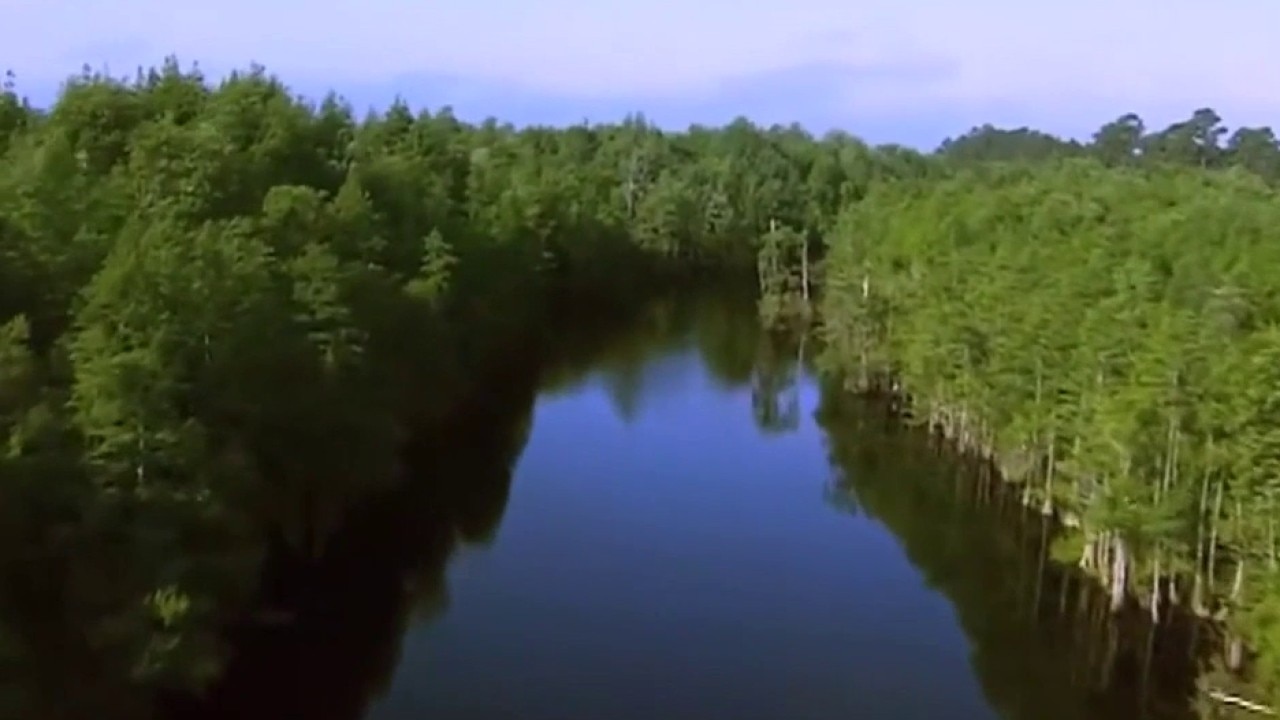 Okefenokee Swamp officially named UNESCO World Heritage Site