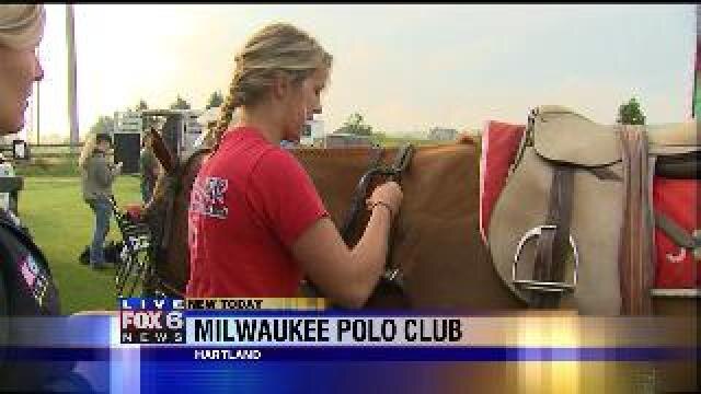 Laura learns how to prep a horse for polo