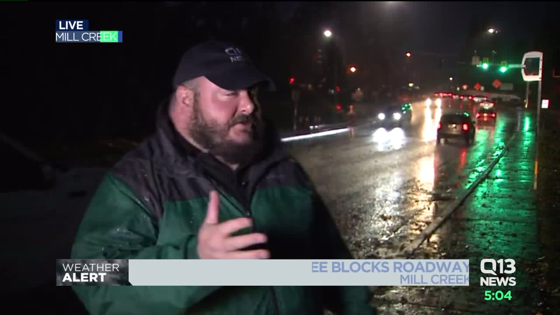 Falling tree takes out stoplight