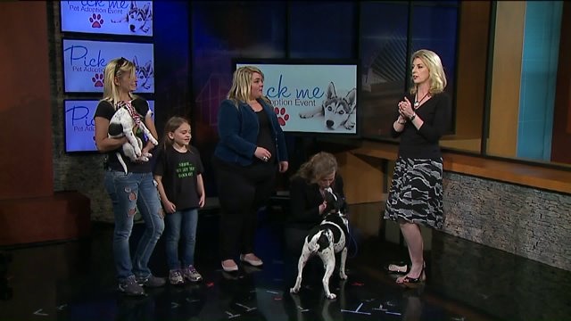 Calling all pet lovers! Take part in a pet rescue event at Regency Mall