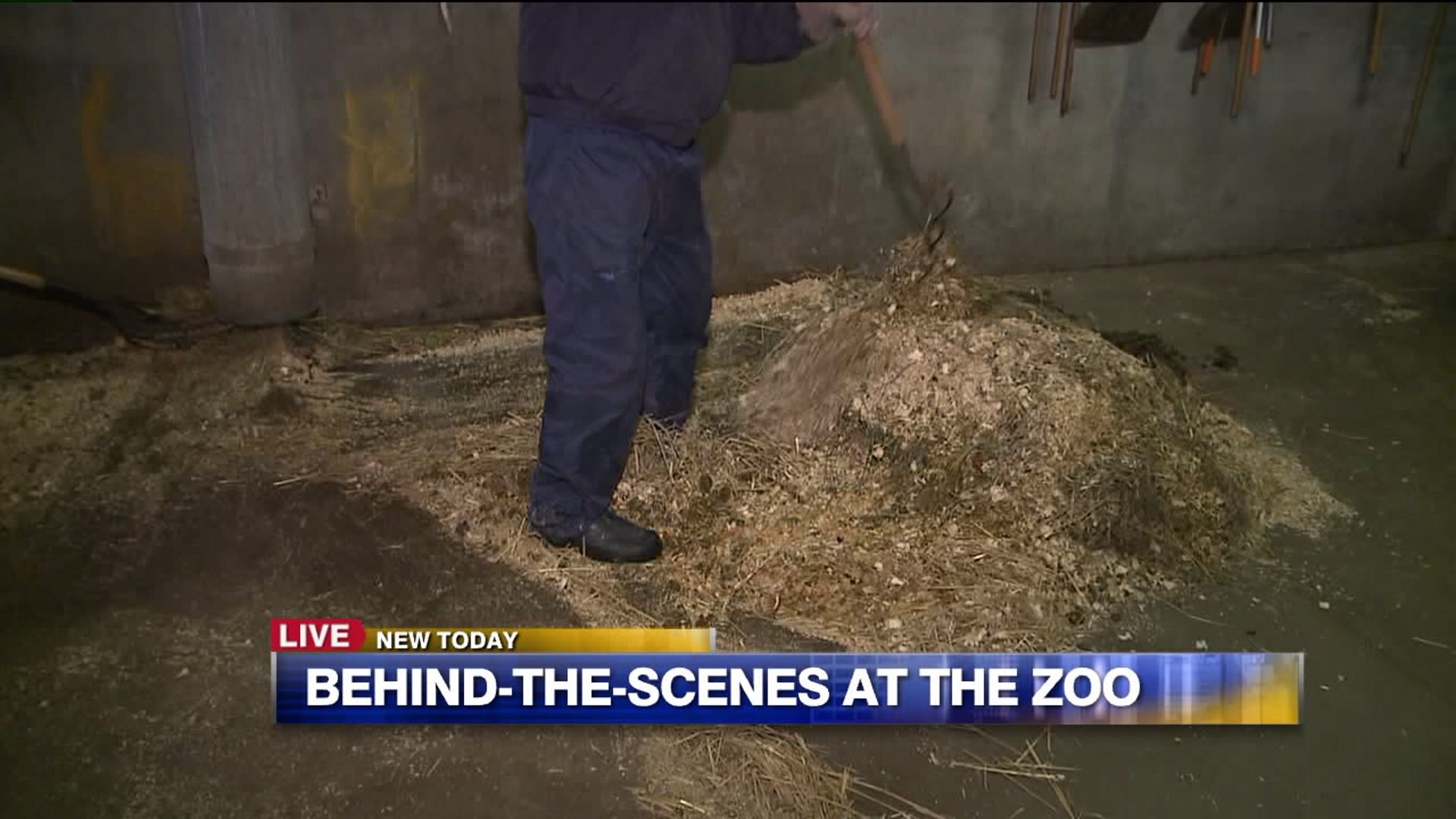 Cleaning at the zoo