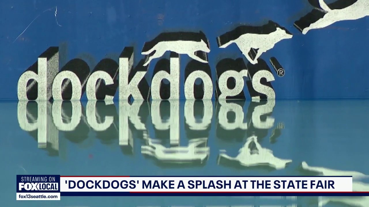 Dock diving dogs steal the show at Puyallup Spring Fair