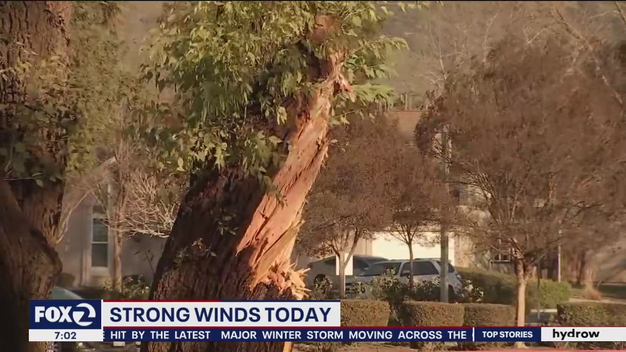 Marin County temporarily suspends open burn due to high winds