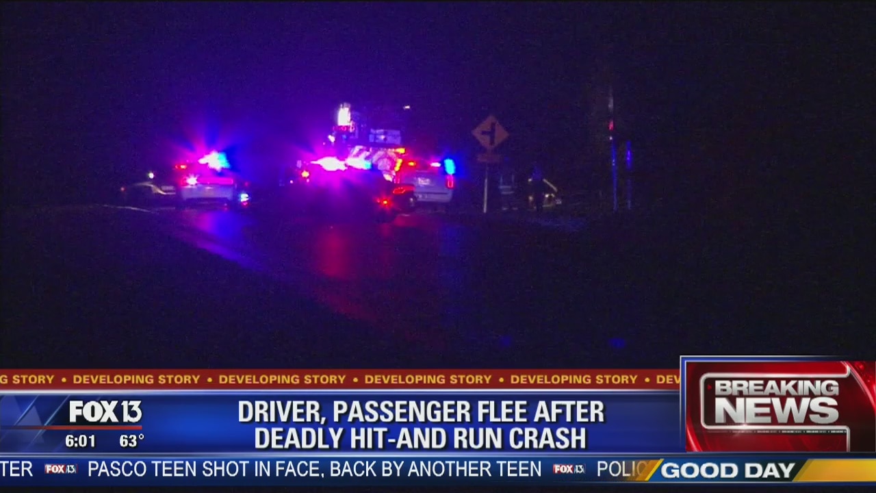 Driver, passenger flee after deadly crash