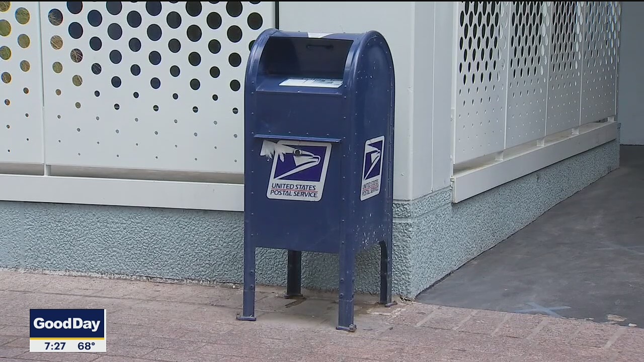 Alana Rocha: Mail-in voting, property taxes and more