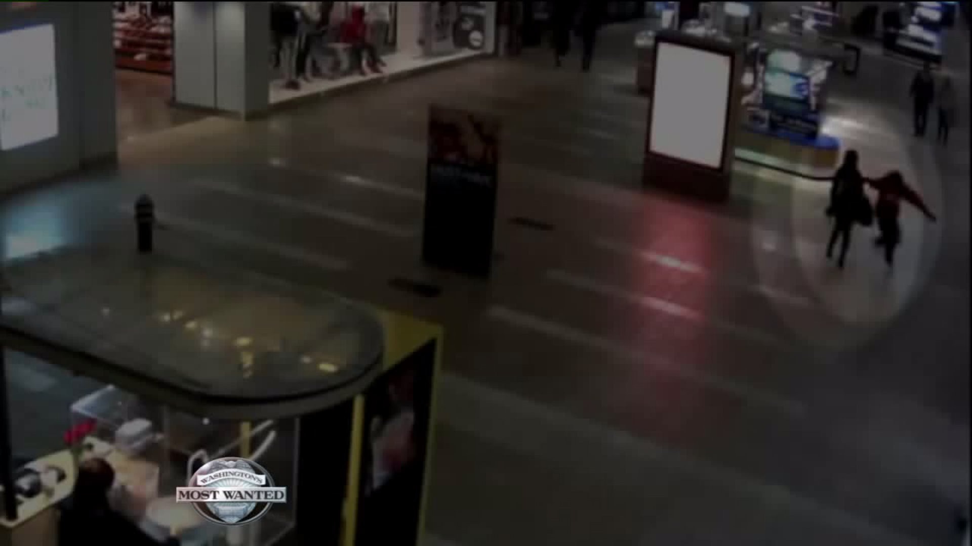 WANTED: Shopping mall purse-snatching suspects