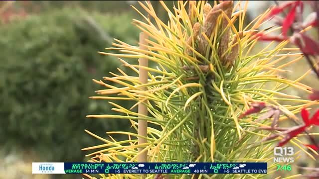 Gardening with Tim: Small spaces