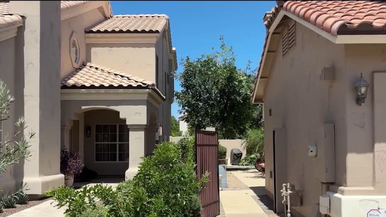 Tree trimmer stuck 15 feet up tree rescued in Chandler