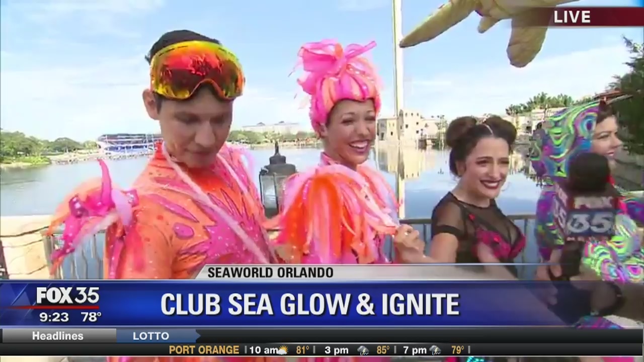 David Does It: Club Sea Glow & Ignite