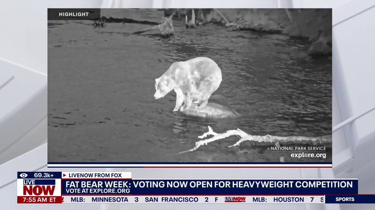 Fat Bear Week opens for Alaska’s heavyweight crown