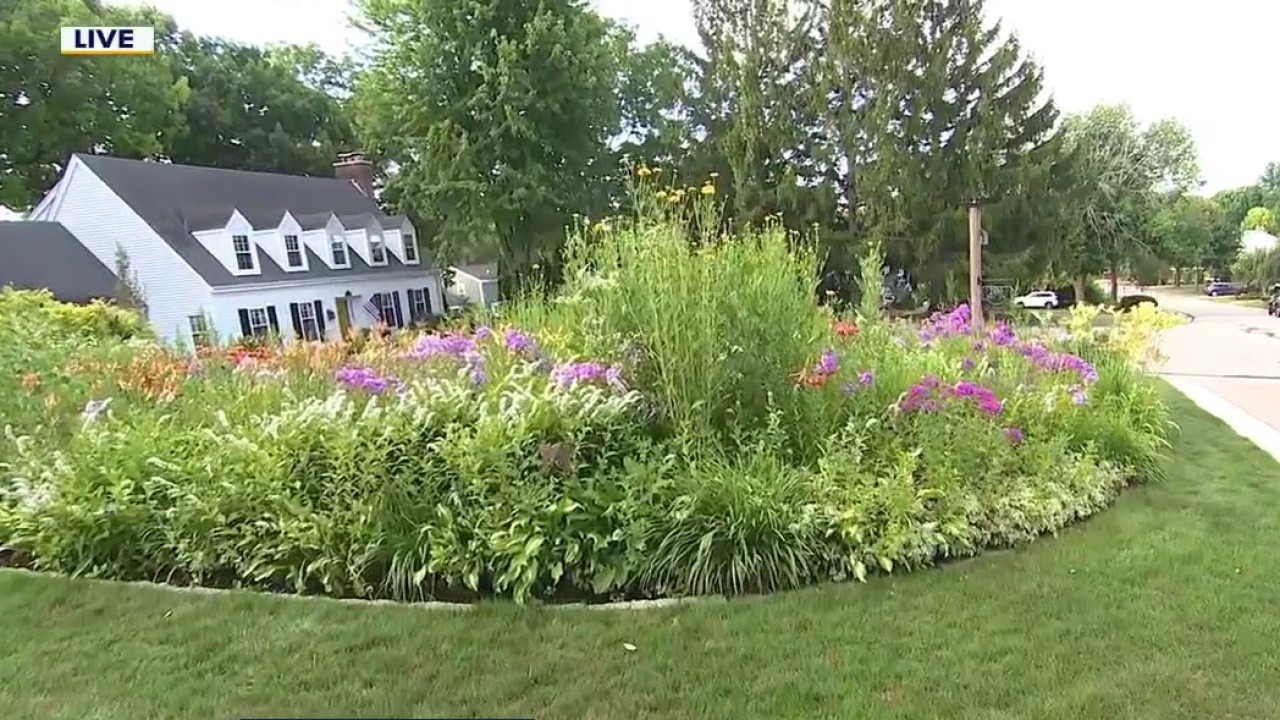Garden Conservancy Open Days; importance of bringing native plants into your garden