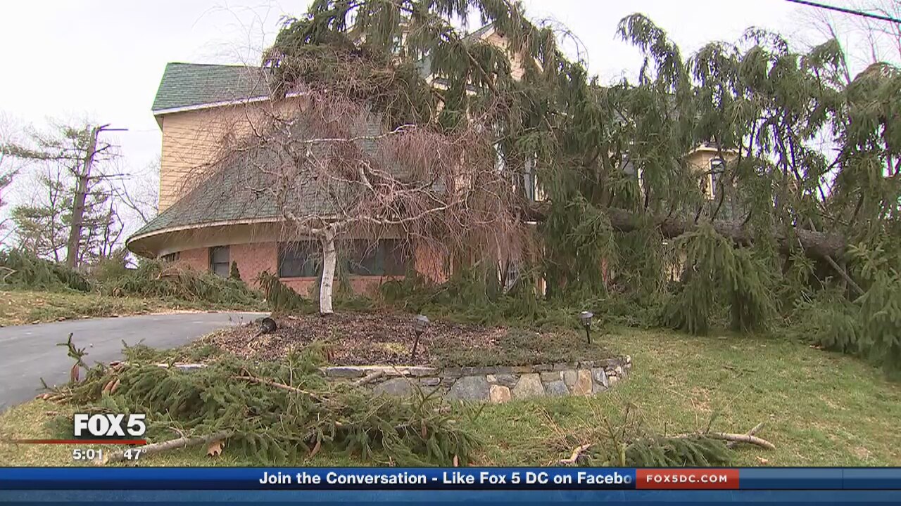 Homes damaged, dozens of trees knocked down in Damascus