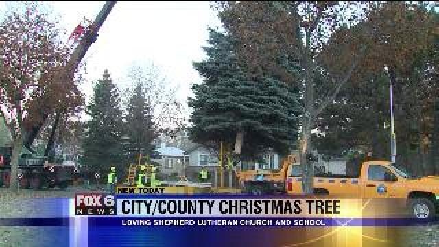Crews harvest Milwaukee City/County Christmas tree