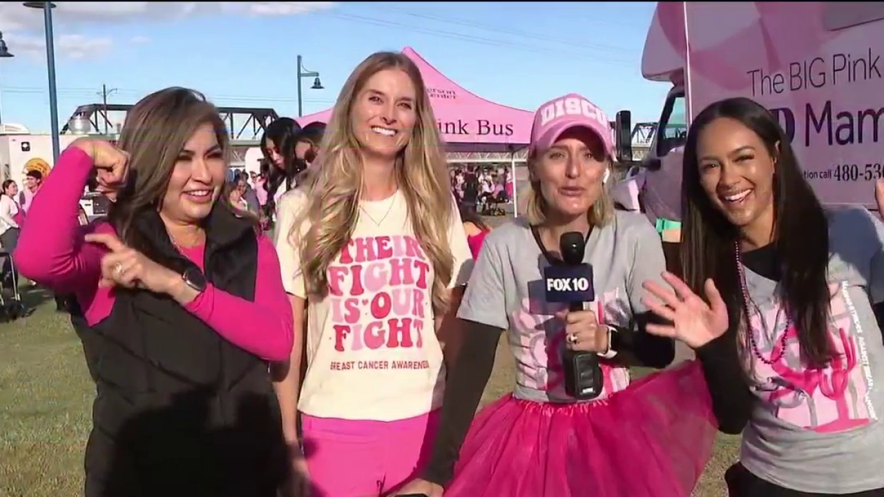 Making Strides walk at Tempe Beach Park raises breast cancer funds