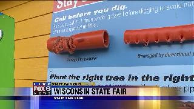 Laura checks out attractions at State Fair