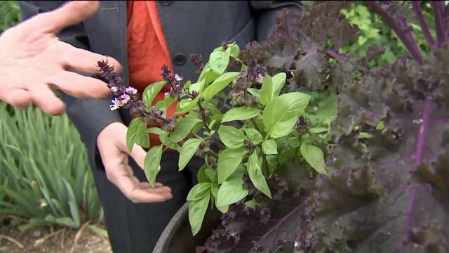 Grow your own herb garden with a little help from Melinda Myers