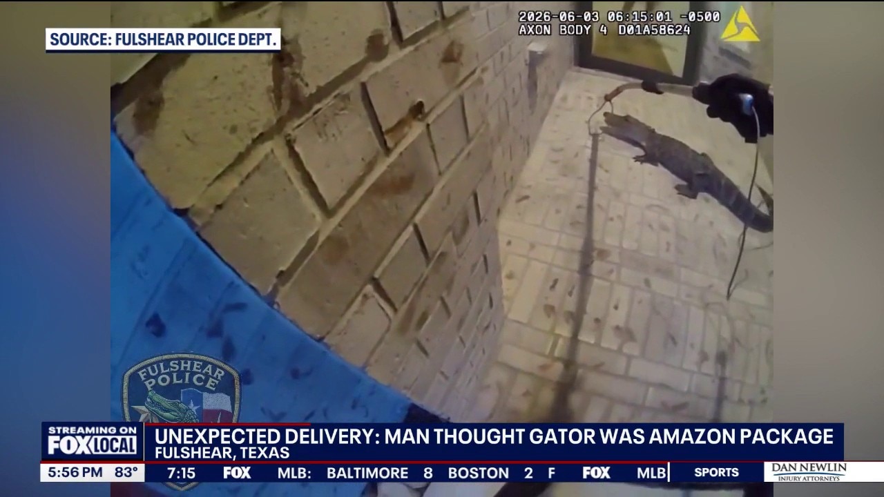 Texas homeowner finds gator on porch, instead of delivery