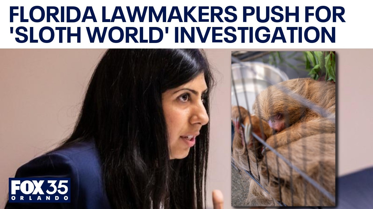 Florida lawmakers call for criminal investigation into 'Sloth World' deaths