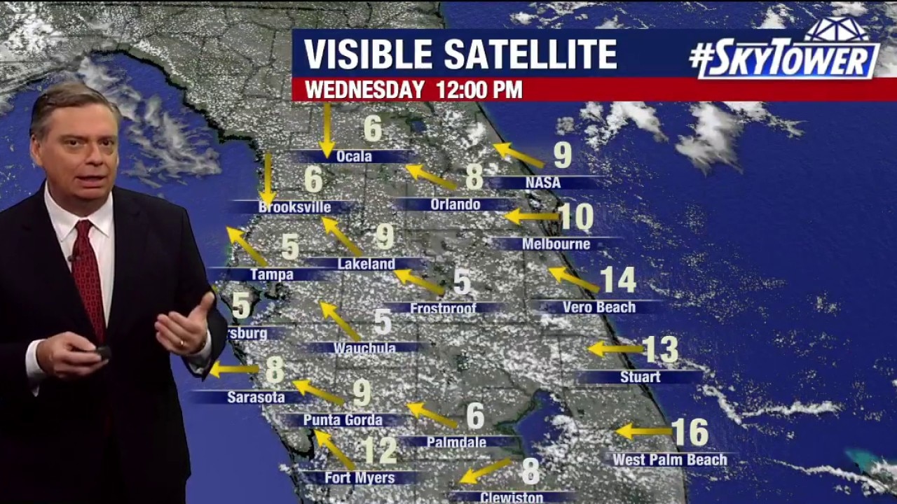 Tampa weather | Wednesday afternoon forecast