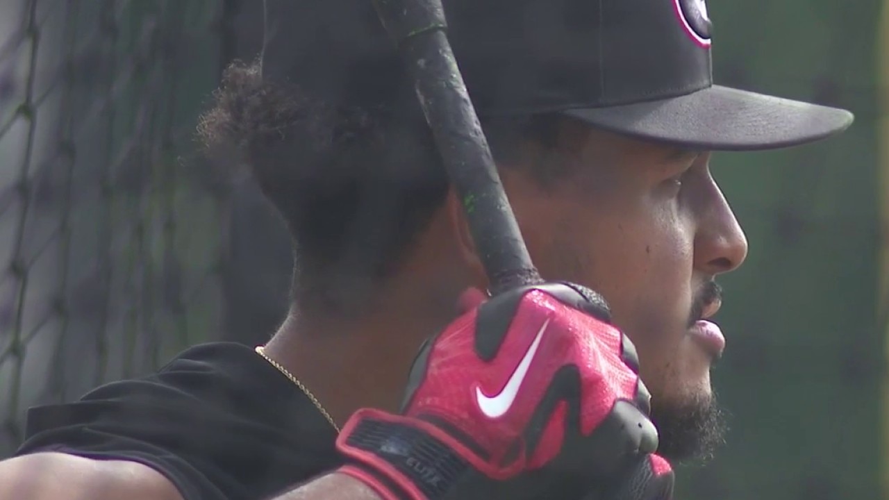 Georgia baseball opens postseason run hosting LIU Sharks