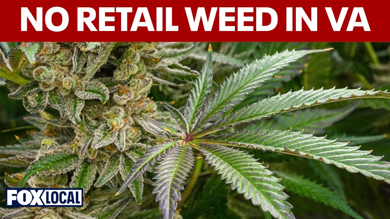 Spanberger vetoes cannabis retail market, stalling legal sales