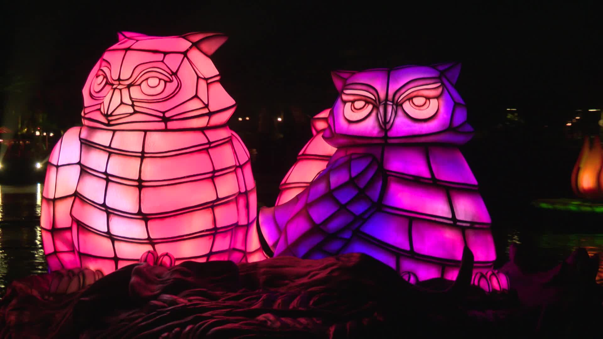 Disney's Animal Kingdom Rivers of Light show
