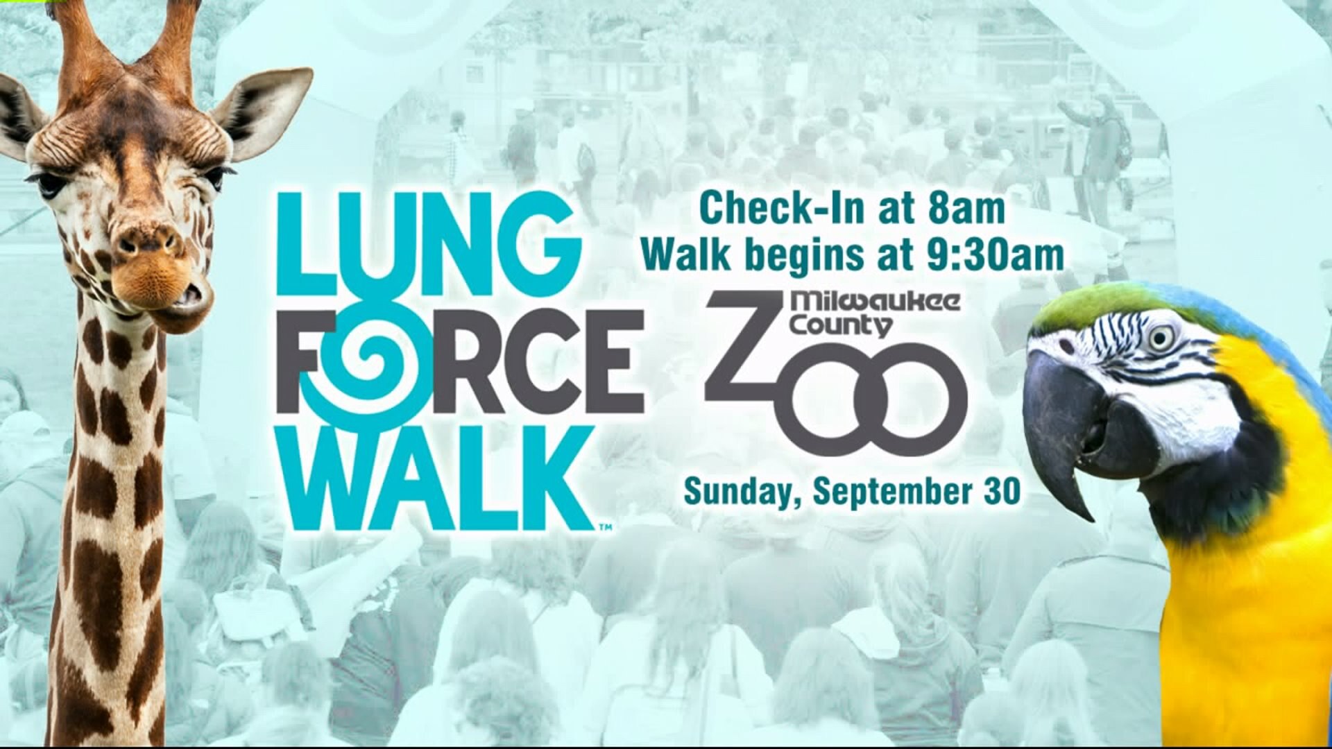 5th annual Lung Force Walk