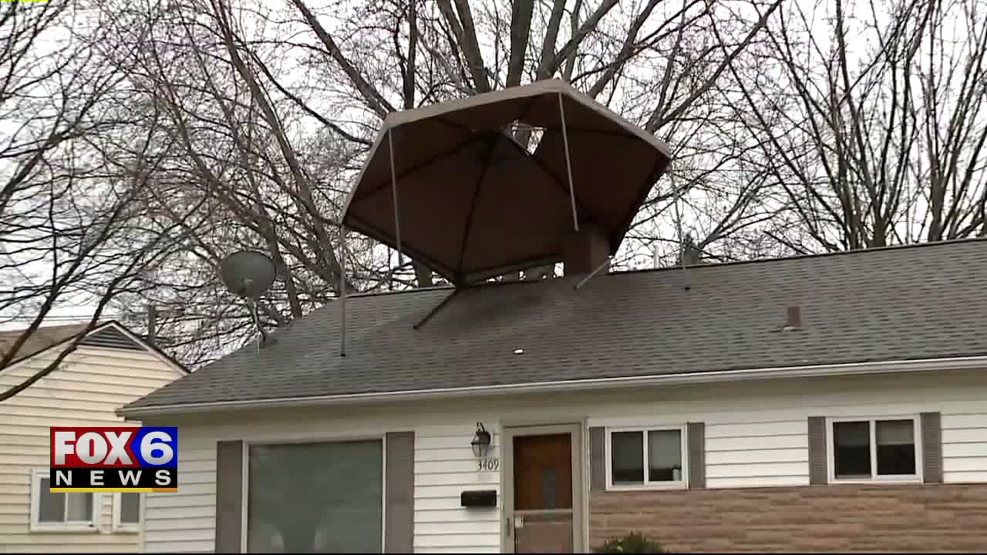 Hold on tight! Gusts of wind make being outside a bit of a challenge