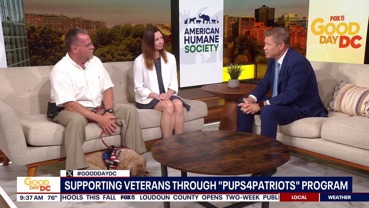 Supporting Veterans Through "Pups4Patriots" Program