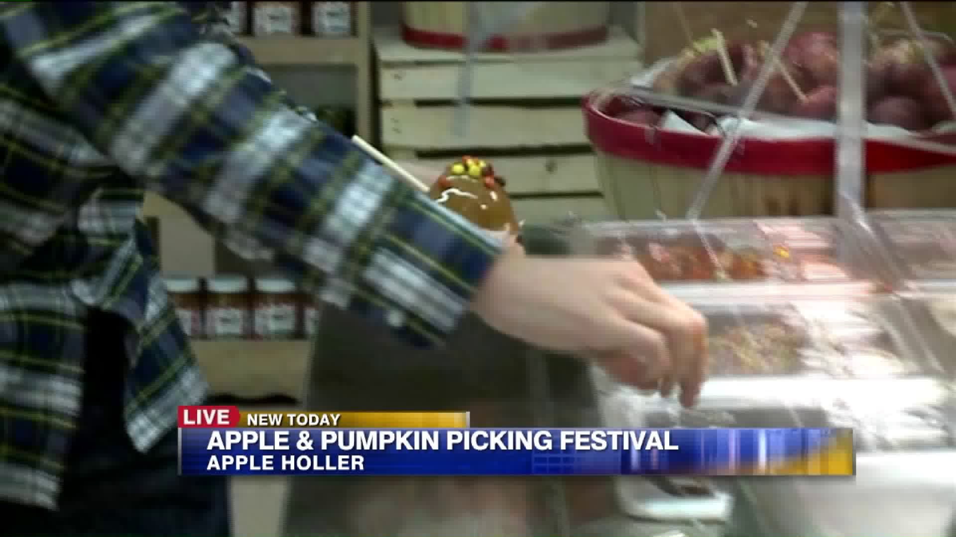 Making caramel apples