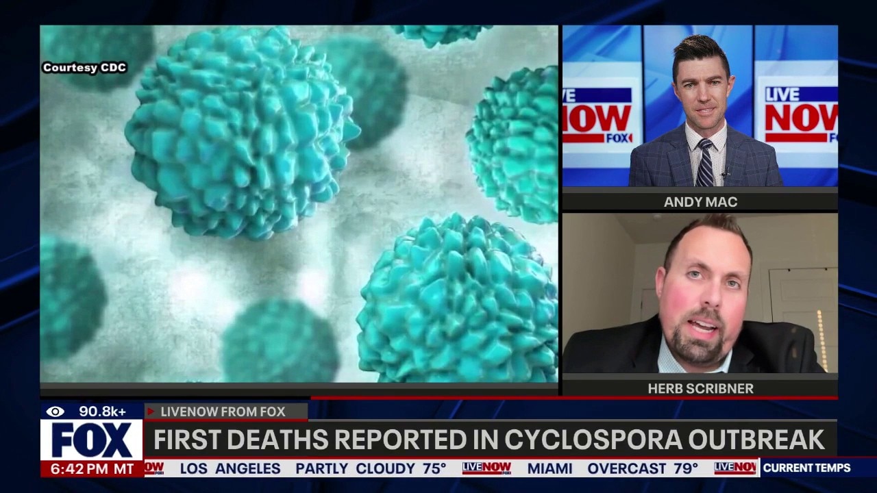 First deaths reported in cyclospora outbreak