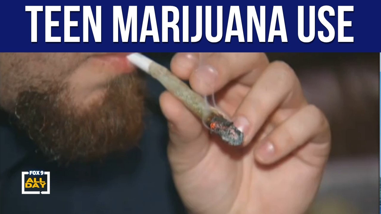 How marijuana may affect the teenage brain 