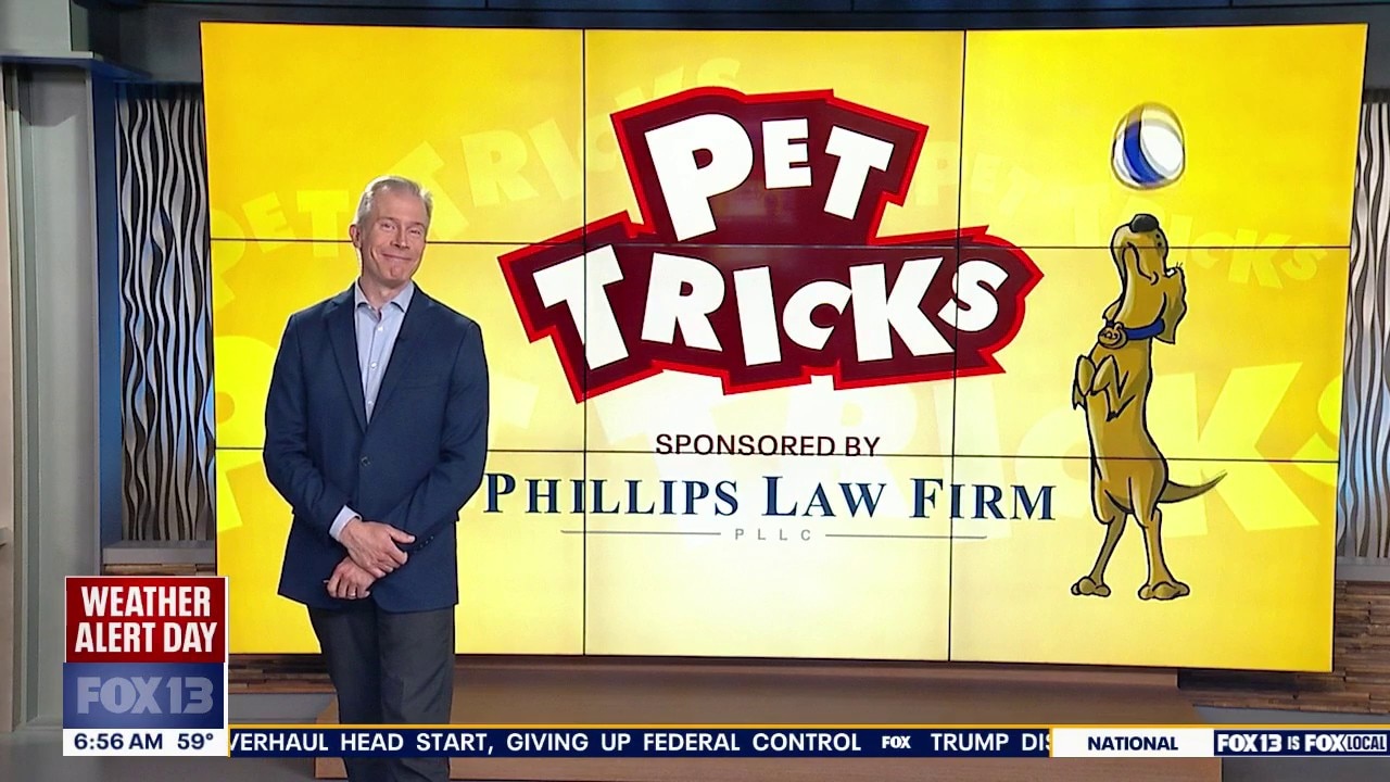 Pet Tricks for Friday, Aug. 7