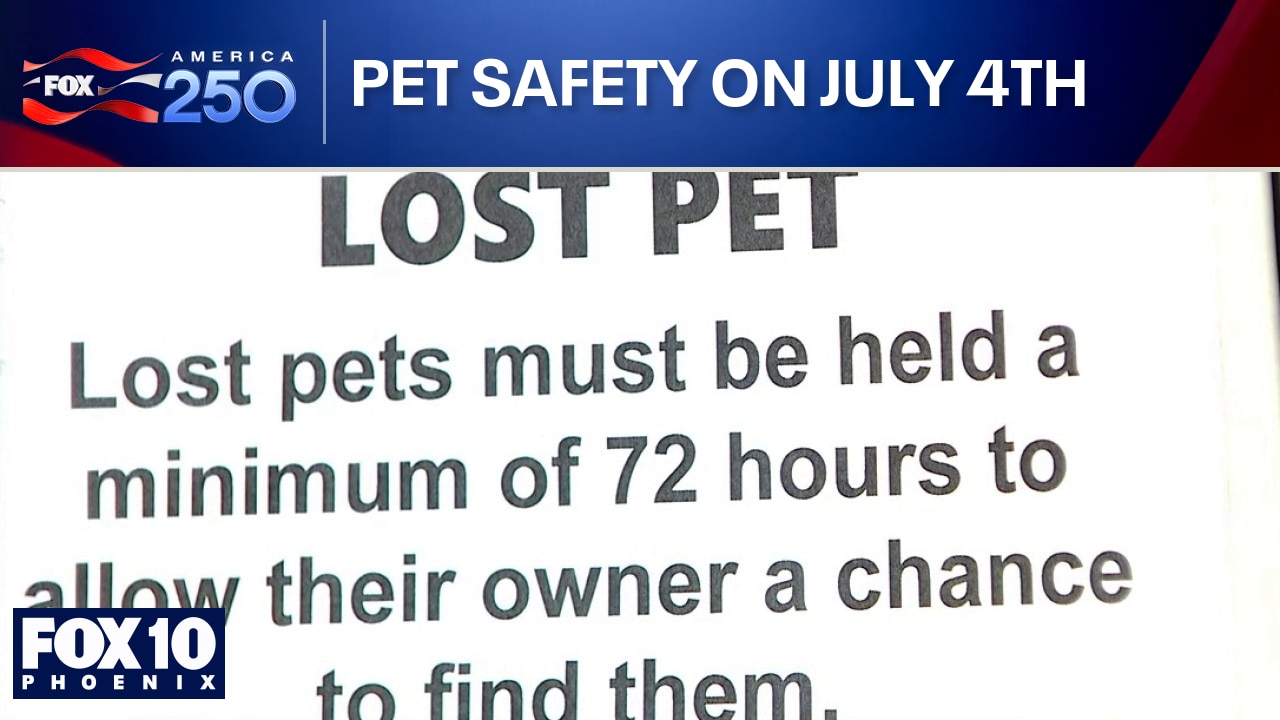 Finding your lost pets after the 4th of July