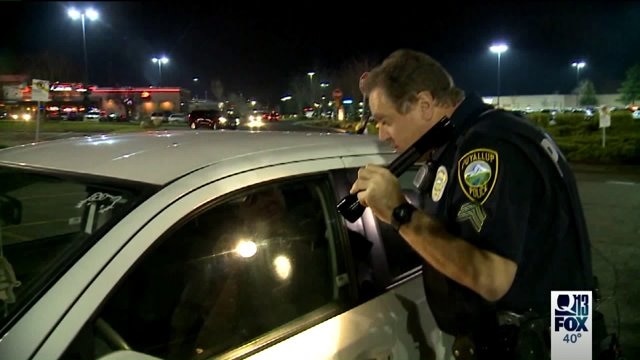 Preventing Puyallup car prowls