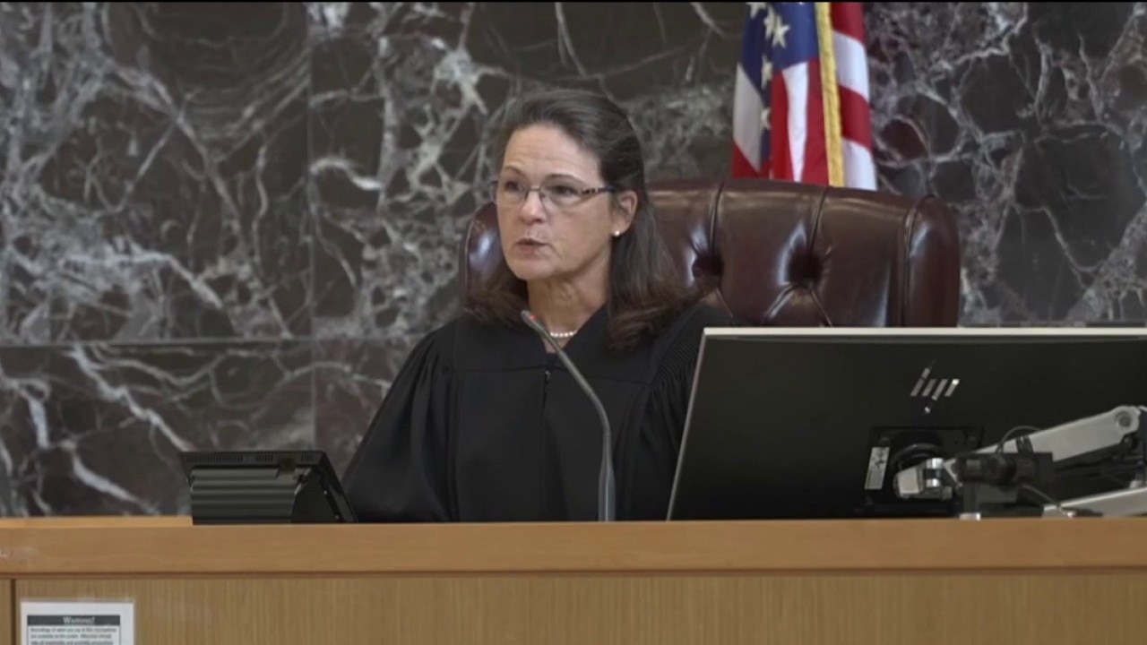 SPCA Tampa Bay found not guilty in Waddles case