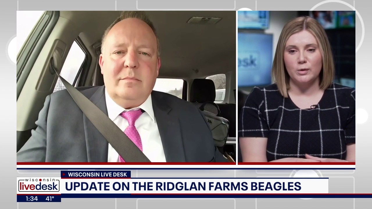 Ridglan Farms beagles: Update from FOX6 Investigators