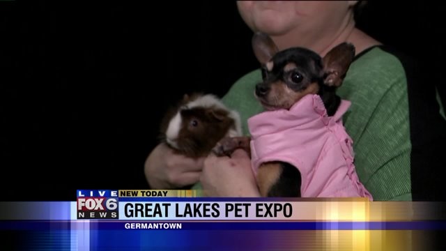 Carl checks out some of the animals that are up for adoption