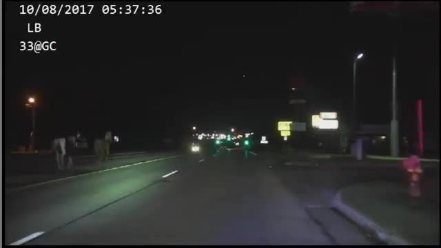 Pursuit of Mustangs (Credit: Grand Chute PD)