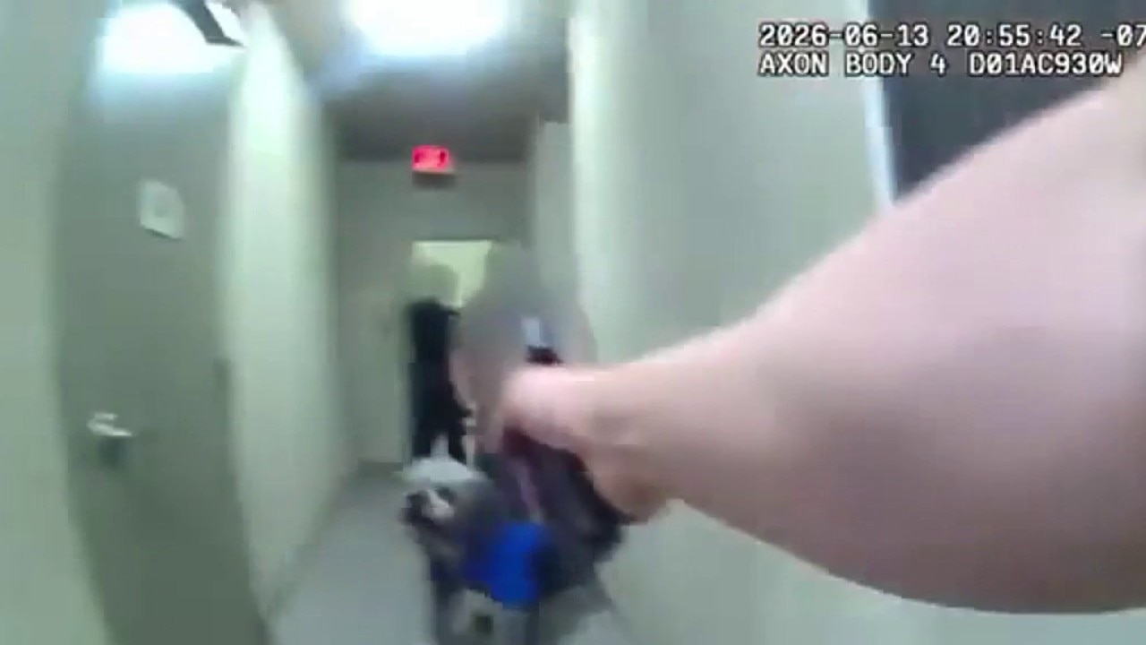 LAPD releases bodycam video of fatal dog shooting