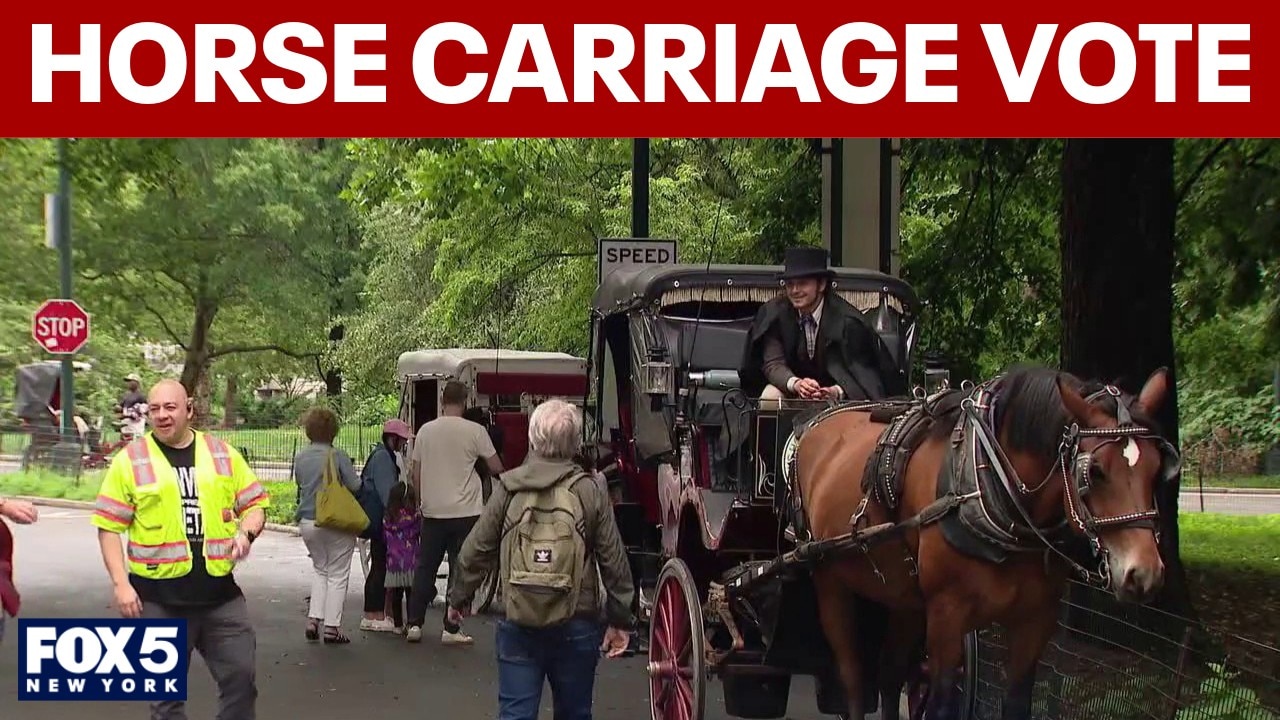 NYC Council votes on Romanch's Law, horse-drawn carriage ban