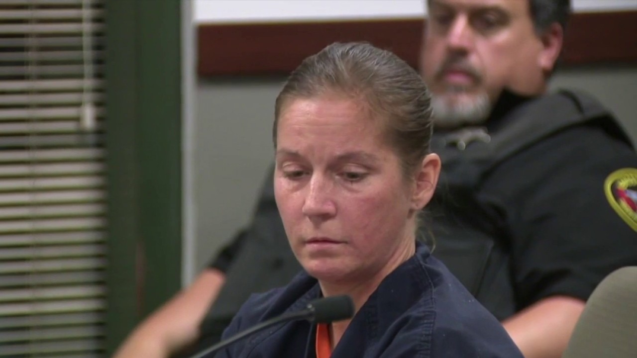 Somers animal mistreatment case, woman faces 15 charges