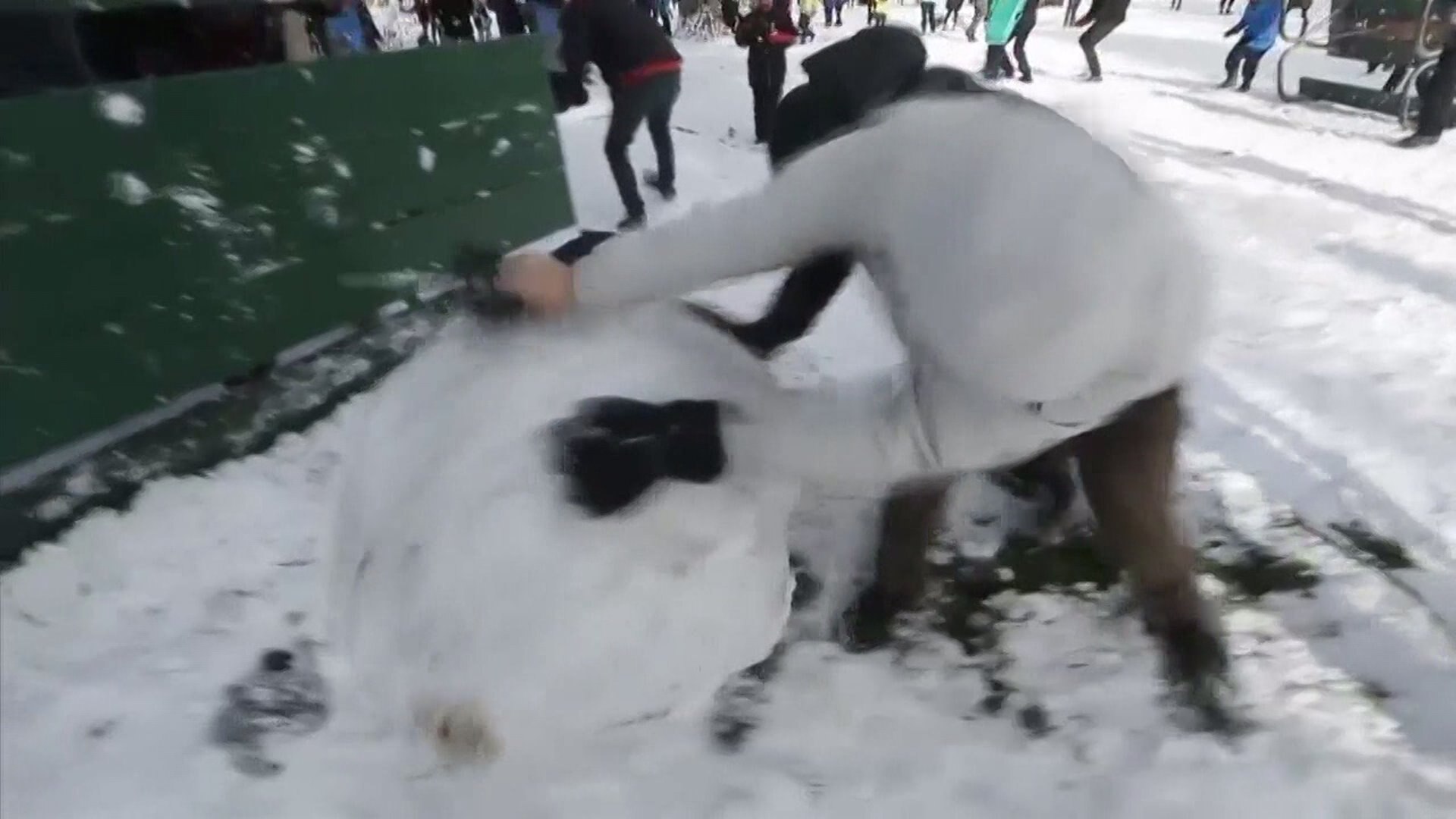 Epic snowball fight in Tacoma