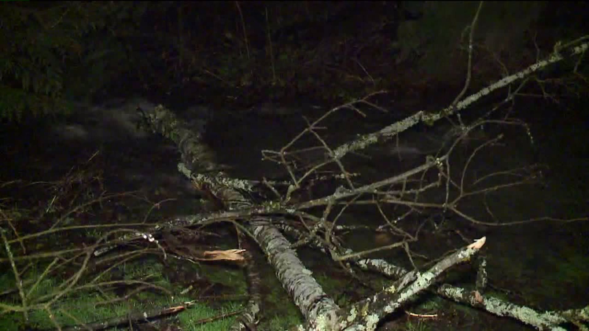 Wind and rain cause power outages and flooding in Skagit County