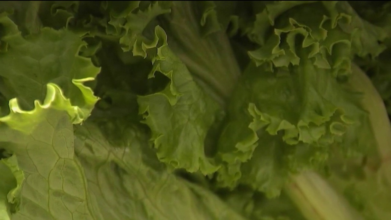 Cyclospora outbreak: Symptoms, food Risks and how to Protect Yourself
