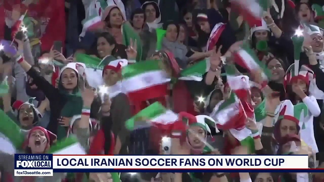 Iranian fans split on World Cup