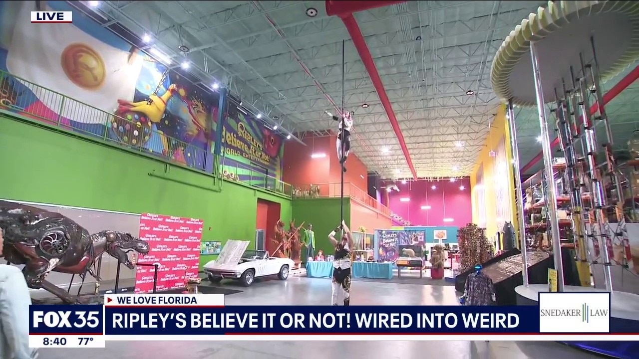 Ripley's Believe It or Not! Wired into Weird
